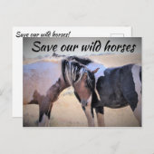 Rett unsere Wildpferde Postkarte (Vorne/Hinten)