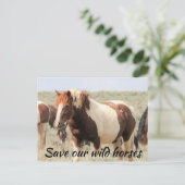 Rett unsere Wildpferde Postkarte (Stehend Vorderseite)