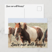 Rett unsere Wildpferde Postkarte (Vorne/Hinten)