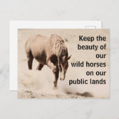 Rett unsere Wildpferde Postkarte (Vorne/Hinten)