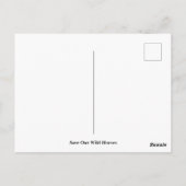 Rett unsere Wildpferde Postkarte (Rückseite)