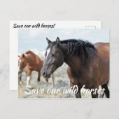 Rett unsere Wildpferde Postkarte (Vorne/Hinten)