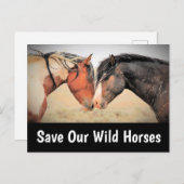 Rett unsere Wildpferde Postkarte (Vorne/Hinten)