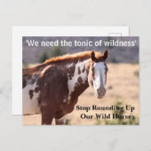 Rett unsere Wildpferde Postkarte (Vorne/Hinten)