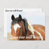 Rett unsere Wildpferde Postkarte (Vorne/Hinten)