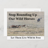 Rett unsere Wildpferde Postkarte (Vorne/Hinten)