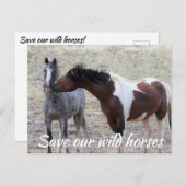 Rett unsere Wildpferde Postkarte (Vorne/Hinten)