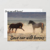 Rett unsere Wildpferde Postkarte (Vorne/Hinten)