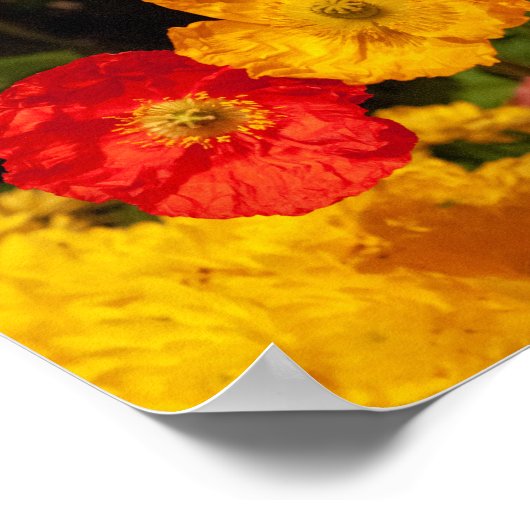 Rett unsere wunderschönen Planeten Hübsche helle B Poster (Ecke)