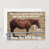 Rett unserer Kampagne für Wildpferde Postkarte (Vorne/Hinten)