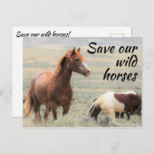 Rett unserer Wildpferde Postkarte (Vorne/Hinten)