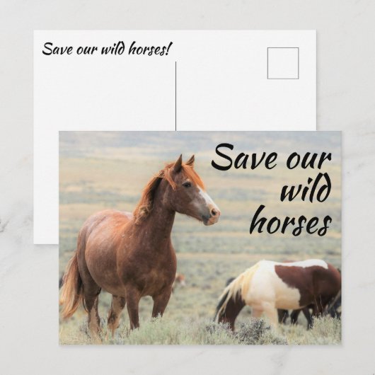 Rett unserer Wildpferde Postkarte (Vorne/Hinten)
