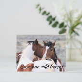 Rett unserer Wildpferde Postkarte (Stehend Vorderseite)