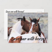 Rett unserer Wildpferde Postkarte (Vorne/Hinten)
