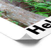 Rett von Regenwäldern Poster (Ecke)