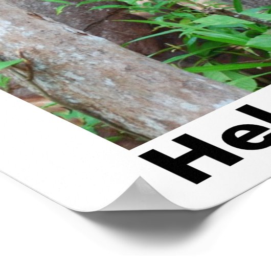 Rett von Regenwäldern Poster (Ecke)