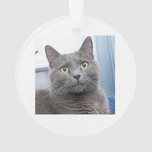 Retten der Anmut-Weihnachtsverzierung Ornament