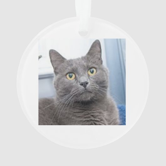 Retten der Anmut-Weihnachtsverzierung Ornament (Rückseite)