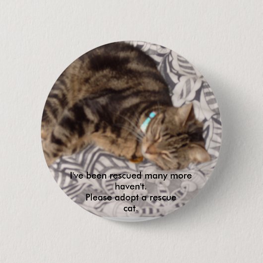 Retten Sie bitte eine Katze Button (Vorderseite)
