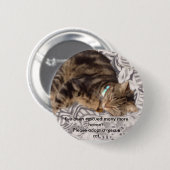 Retten Sie bitte eine Katze Button (Vorne & Hinten)