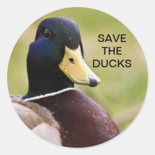 Retten Sie den Enten Aufkleber