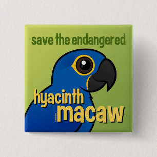 Retten Sie den gefährdeten HyazintheMacaw Button
