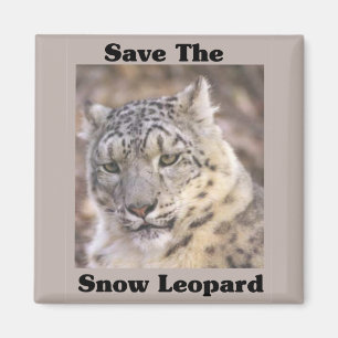 Retten Sie den Schnee-Leoparden Magnet