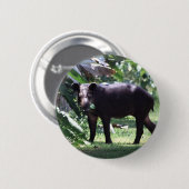 retten Sie den Tapir Button (Vorne & Hinten)