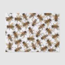 Retten Sie die Biene! Retten Sie die Welt! Leben