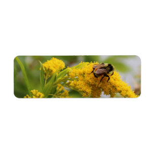Retten Sie die Bienen