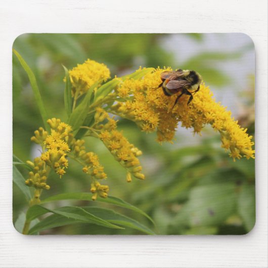 Retten Sie die Bienen Mousepad (Vorne)