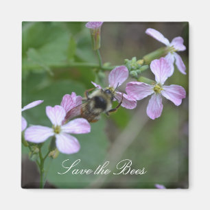 Retten Sie die Bienen… Rettich-Blumen-Magnet Magnet