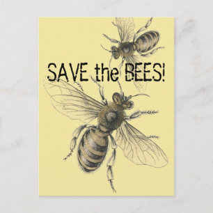 Retten Sie die Bienen Vintage-Bienenbilder Postkarte