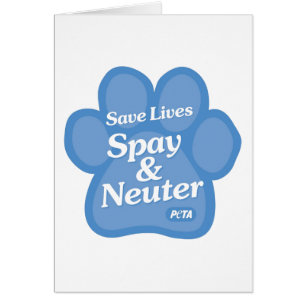 Retten Sie die Leben, Spay u. neutralisieren Sie