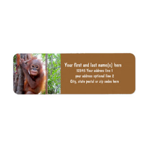 Retten Sie die Orang-Utans mit Baby Uttuh