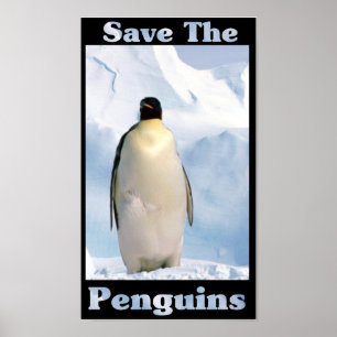 Retten Sie die Penguins Poster
