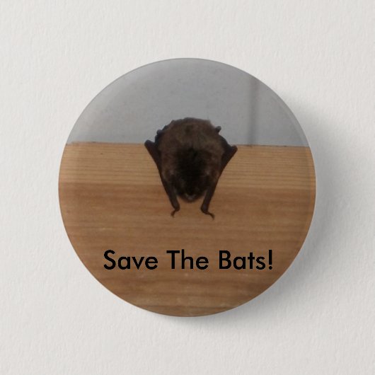 Retten Sie die Schläger! wild lebende Tiere Knopf Button (Vorderseite)