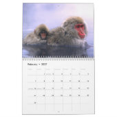 Retten Sie die Tier-Babys Kalender (Feb 2027)