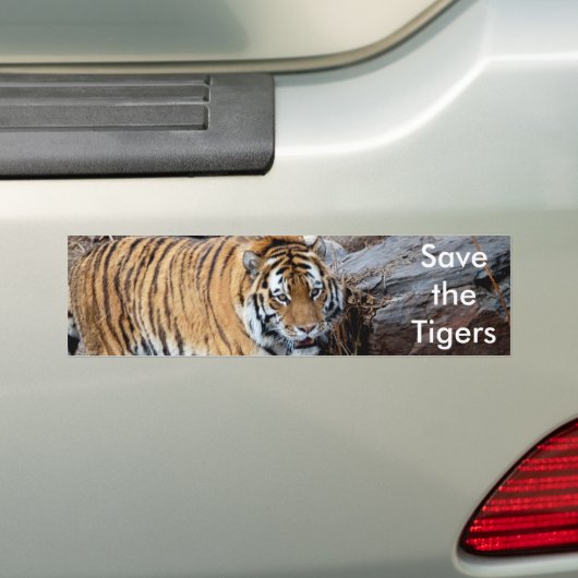 Retten Sie die Tiger Autoaufkleber (Auf Auto)