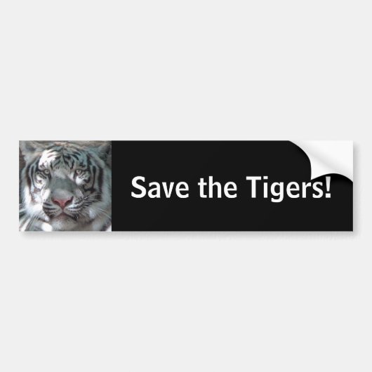 Retten Sie die Tiger Autoaufkleber (Vorne)