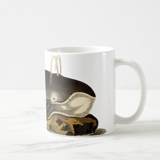 Retten Sie die Wale Kaffeetasse (Rechts)