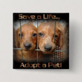 Retten Sie ein Leben adoptieren ein Button (Vorderseite)