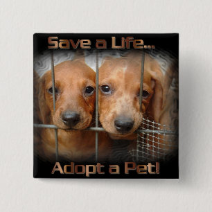 Retten Sie ein Leben adoptieren ein Button