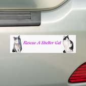 Retten Sie eine Schutz-Katze Autoaufkleber (Auf Auto)