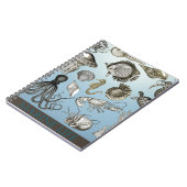 Retten Sie Marineleben! Notizblock (Linke Seite)