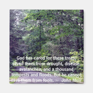 Retten Sie uns von den Dummköpfen - Magnet