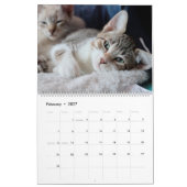 RETTEND KLEINES LEBEN IST DAS BESTE KALENDER (Feb 2027)