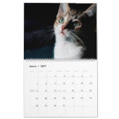 RETTEND KLEINES LEBEN IST DAS BESTE KALENDER (Mär 2027)