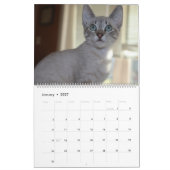 RETTEND KLEINES LEBEN IST DAS BESTE KALENDER (Jan 2027)