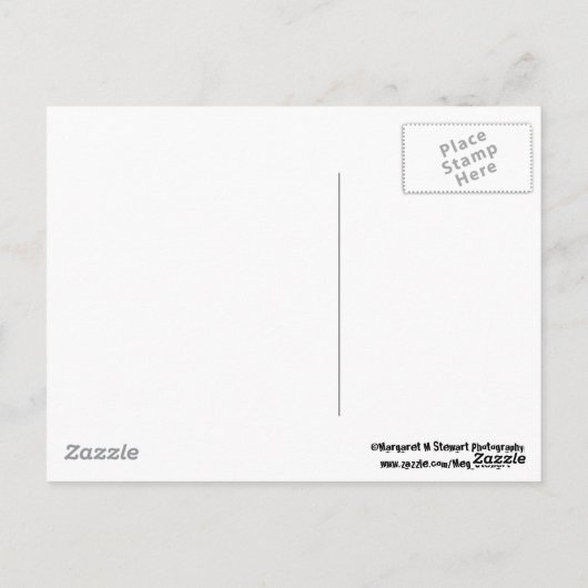 Rettet den Planeten Postkarte (Rückseite)